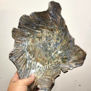 Coupelle, cuisson raku, décoratif, bleu or nacrée