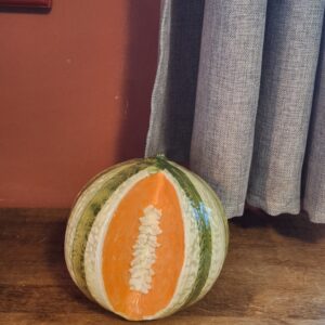 Melon ouvert en barbotine