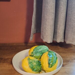 3 citrons de Menton assortis en barbotine