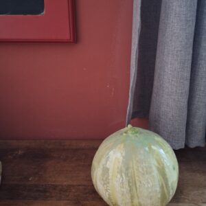 Melon entier en barbotine