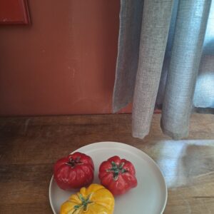 3 tomates de Provence assorties en barbotine
