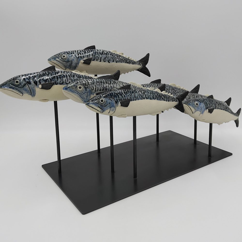 Maquereaux profil
